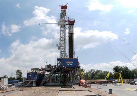 WEB-cracker-plant-12-1570118643